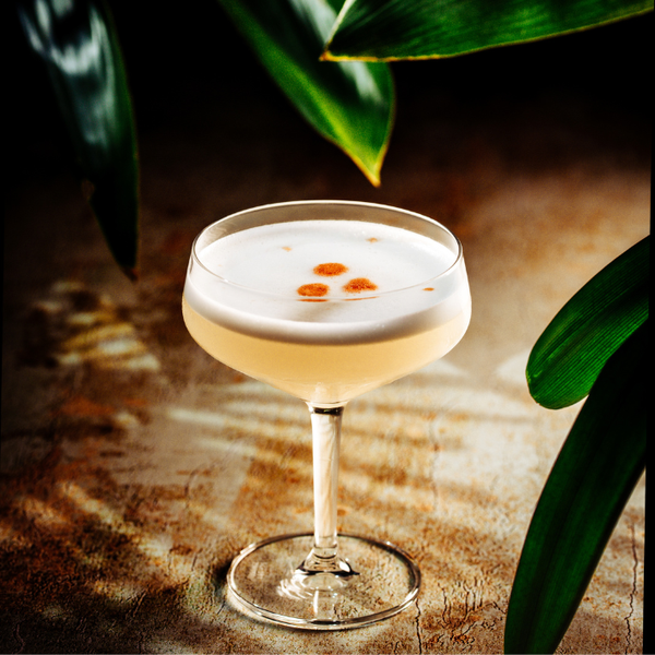 KABINA RAKIJA SOUR COCKTAIL RECIPE
